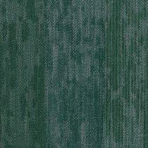 Shaw Elevate Carpet Tile Greenhouse 24" x 24" Premium(48 sq ft/ctn) 