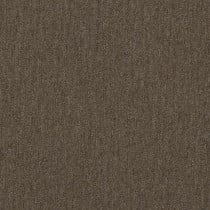 Shaw 5th & Main Beyond Limits Carpet Tile 24" x 24" Fauna Premium(80 sq ft/ctn)