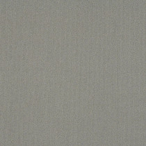Philadelphia Commercial Color Accents Carpet Tile Med Gray 24" x 24" Premium