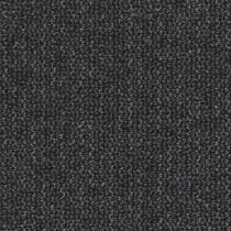 Shaw Wander Carpet Tile Myth 24" x 24" Premium