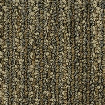 Pentz Revolution Carpet Tile Transformation