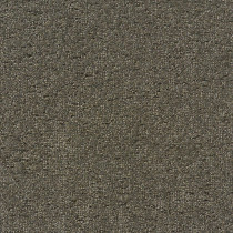 Mannington Commercial Rain Shadow Carpet Tile Saguaro 12" x 48" Premium