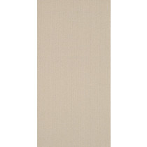 Shaw Colour Plank Tile Oatmeal