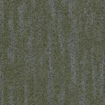 Shaw Dream Carpet Tile Greenery 24" x 24" Premium
