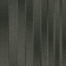 Shaw Contract Legitimate Carpet Tile Shale 24" x 24" Premium(80 sq ft/ctn)