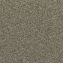 Mannington Commercial Everywear III Carpet Tile Suede 24" x 24" Premium