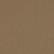 Philadelphia Commercial Color Accents Carpet Tile Tobacco 18" x 36" Premium