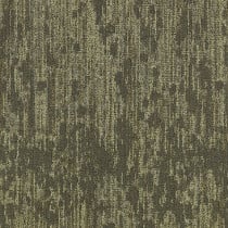Mannington Commercial A La Mode Carpet Tile Wilde 24" x 24" Premium