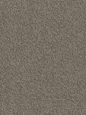 Pentz Chivalry Carpet Tile Nobel 24" x 24" Premium (72 sq ft/ctn)
