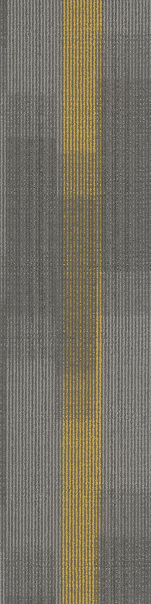 Pentz Amplify Plank Carpet Tile Medallion 12" x 48" Premium (56 sq ft/ctn)