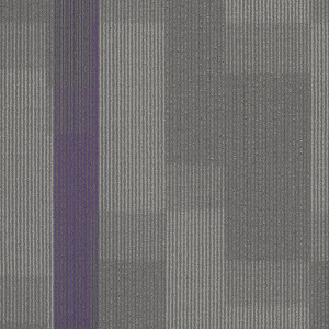 Pentz Amplify Carpet Tile Royal Purple 24" x 24" Premium (72 sq ft/ctn)
