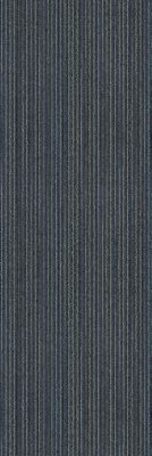 Aladdin Commercial Complex Reasoning Carpet Tile Perception 12" x 36" Premium (72 sq ft/ctn)