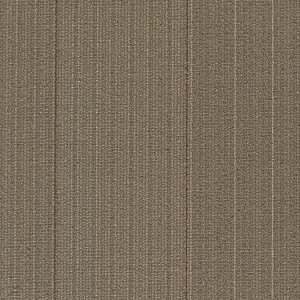 Shaw Disperse Carpet Tile Annual 24" x 24" Premium(48 sq ft/ctn)