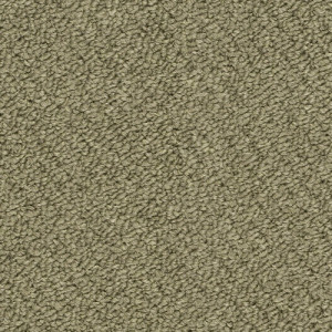 Shaw Momentum IV Carpet Tile Potential 24" x 24" Premium
