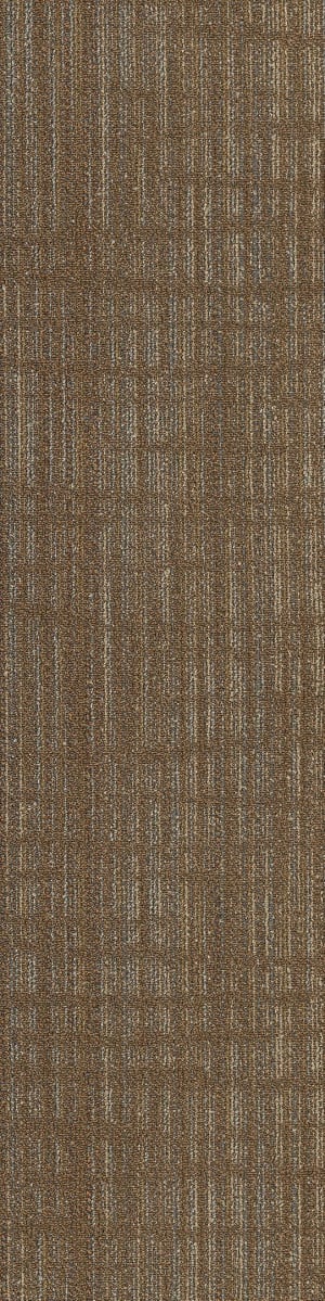 Shaw Aberdeen Carpet Tile Highlands