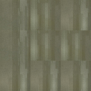 Shaw Absorbed Carpet Tile Aurora 24" x 24" Premium(48 sq ft/ctn)