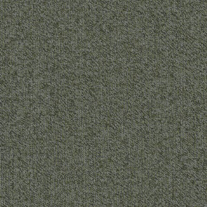 Shaw Belong Carpet Tile Greenery 24" x 24" Premium
