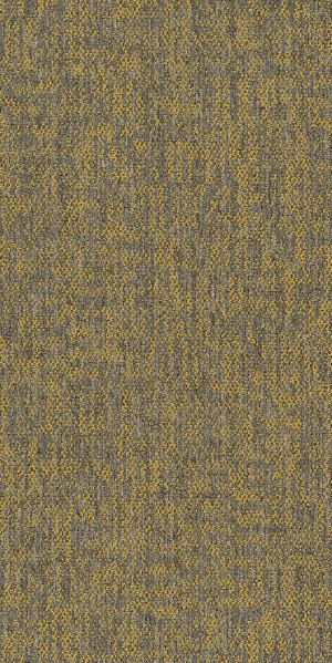 Shaw Crazy Smart Carpet Tile Radiant