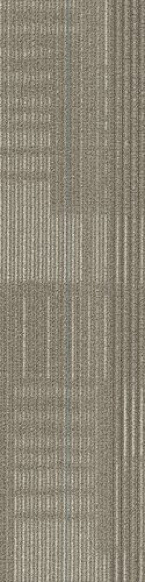 Shaw Diffuse Carpet Tile Road Trip 9" x 36" Premium
