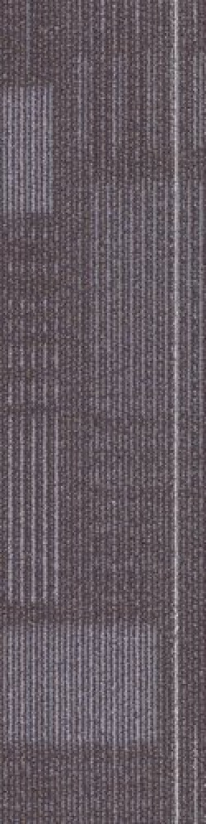 Shaw Diffuse Carpet Tile Seasonal 9" x 36" Premium