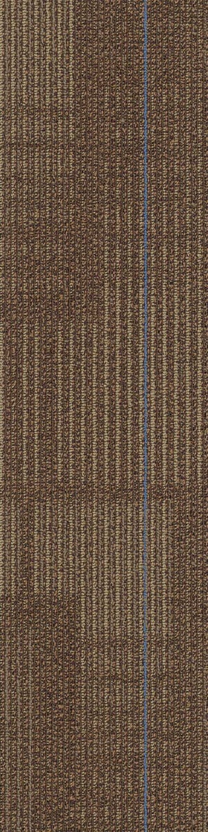 Shaw Diffuse Carpet Tile Nomad