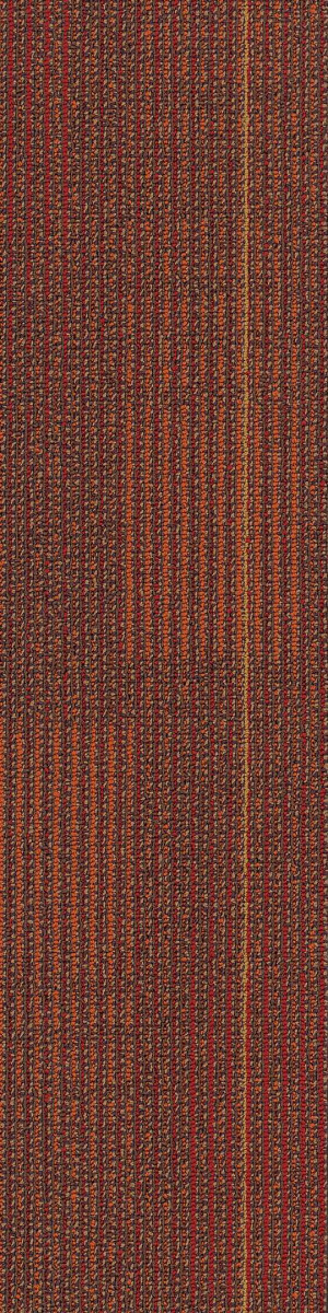 Shaw Diffuse Carpet Tile Southbound