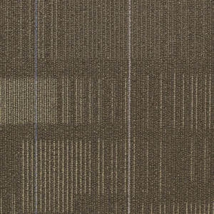 Shaw Diffuse Ecologix® Es Carpet Tile Nomad Premium