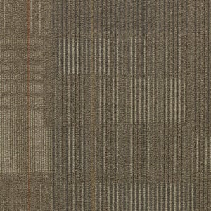 Shaw Diffuse Ecologix® Es Carpet Tile Voyage Premium