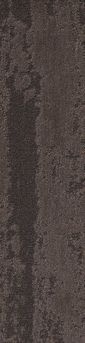 Shaw Discover Carpet Tile Earth