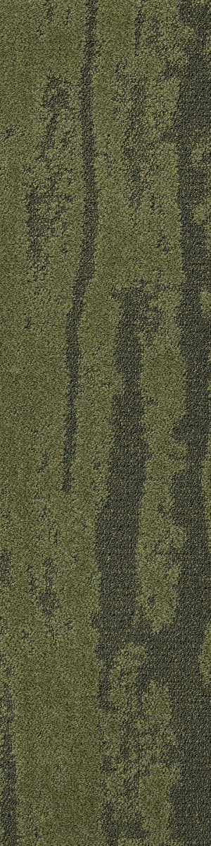 Shaw Discover Carpet Tile Moss