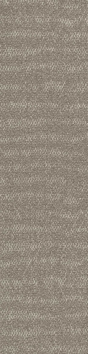 Shaw Gravel II Carpet Tile Branch