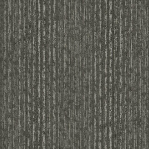 Shaw Contract Unending Carpet Tile Nocturne 24" x 24" Premium(80 sq ft/ctn)