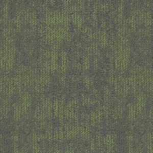 Shaw Source Carpet Tile Nature 9" x 36" Premium