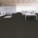 Shaw Charisma Carpet Tile Backdrop 24" x 24" Premium - Office Scene