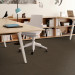 Shaw Charisma Carpet Tile Burled 24" x 24" Premium - Small Office Scene