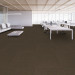 Shaw Charisma Carpet Tile Burled 24" x 24" Premium - Office Scene
