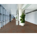 Pentz Cantilever Carpet Tile Foundation - Hallway Scene