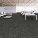 Shaw Sculpt Carpet Tile Carbon 24" x 24" Premium - Office Scene
