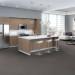 Shaw 5th & Main Native Carpet Tile 24" x 24" Belonging Premium(80 sq ft/ctn)