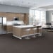 Shaw 5th & Main Authentic Carpet Tile 24" x 24" Rightful Premium(48 sq ft/ctn)