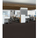 Philadelphia Commercial Color Accents Carpet Tile Ebony 24" x 24" Premium