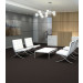 Philadelphia Commercial Color Accents Carpet Tile Ebony 24" x 24" Premium