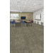 Shaw Experience Modular Tile Knowledge Classroom Scene