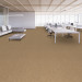 Shaw Momentum IV Carpet Tile Friction 24" x 24" Premium - Office Scene