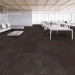 Shaw Color Play Carpet Tile Haute Stuff 24" x 24" Premium - Office Scene