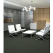 Philadelphia Commercial Color Accents Carpet Tile Lava 24" x 24" Premium