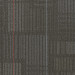 Shaw Diffuse Ecologix® Carpet Tile Routes 24" x 24" Premium(48 sq ft/ctn)