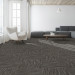 Shaw Companion Carpet Tile Mix 24" x 24" Premium(80 sq ft/ctn)