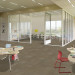 Shaw Diffuse Ecologix® Carpet Tile Annual 24" x 24" Premium(48 sq ft/ctn)