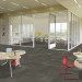 Shaw Diffuse Ecologix® Carpet Tile Navigation 24" x 24" Premium(48 sq ft/ctn)